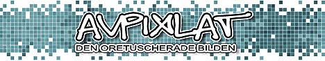 Avpixlat - den oretuscherade bilden